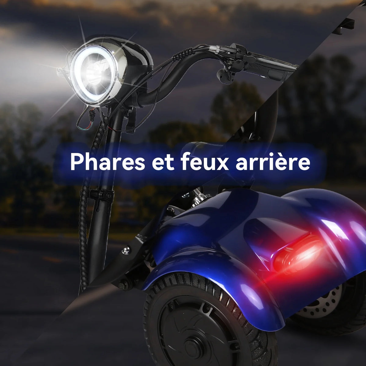Scooter Electrique a Quatre Roues De La Vitesse Maximum 18 km/h De Soutien 120kg Du Scooter 36v 18Ah De Double Moteur De 250w